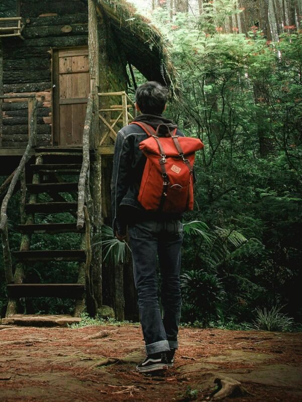 kimo-lNhZPVxlO-w-unsplash Rhoncus aenean velelit scelerisque mauris